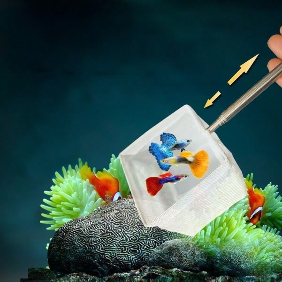 Épuisette pour poissons d'aqua - Aquarium Fish Food avis et prix