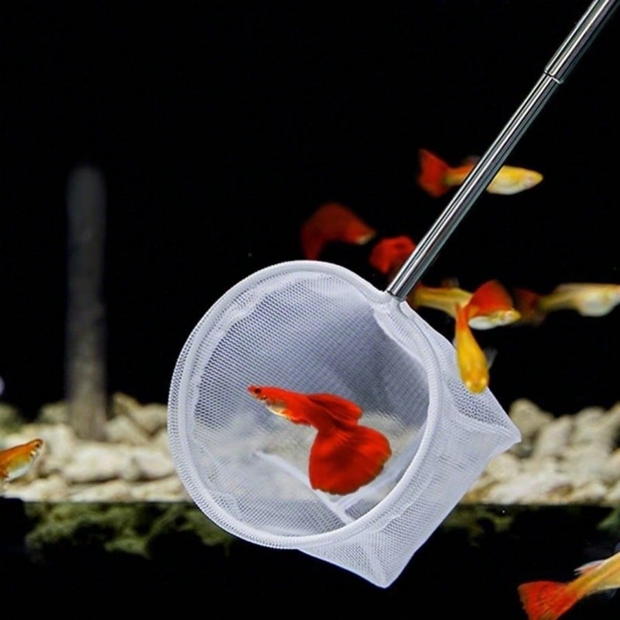 Épuisette pour poissons d'aqua - Aquarium Fish Food avis et prix