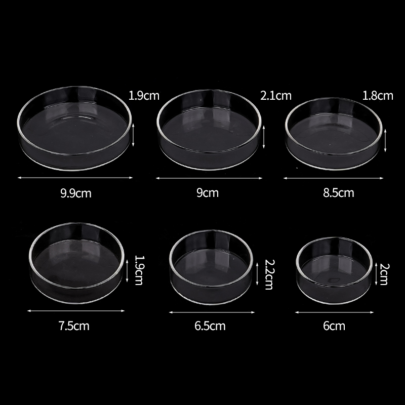 Plat d'alimentation pour creve - Aquarium Fish Food avis et prix