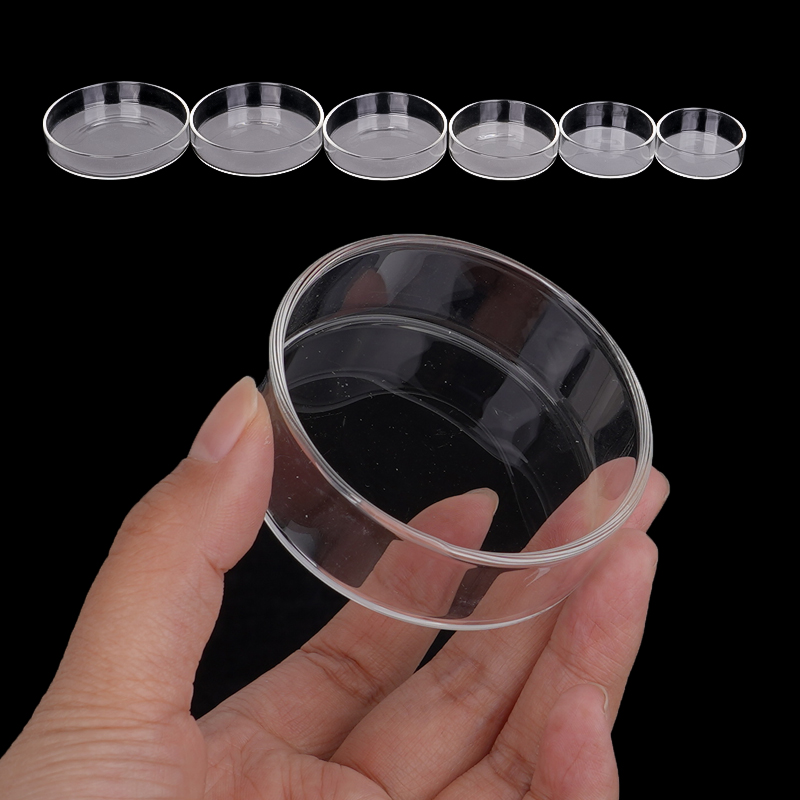 Plat d'alimentation pour creve - Aquarium Fish Food avis et prix