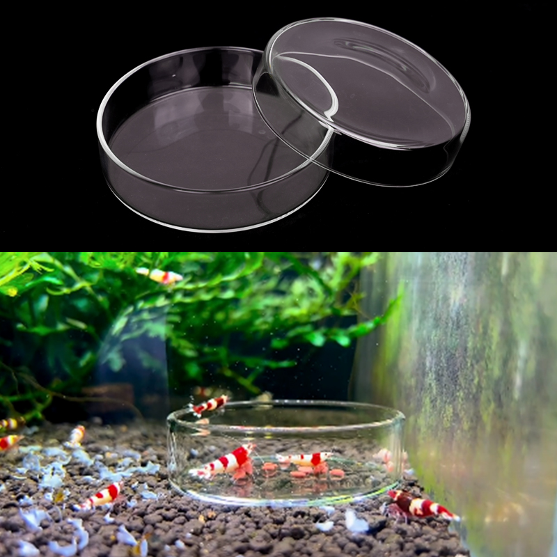 Plat d'alimentation pour creve - Aquarium Fish Food avis et prix