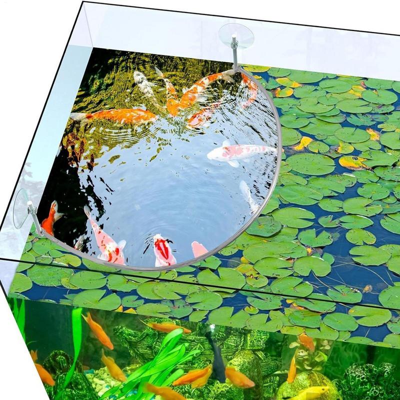 Anneau d'alimentation pour poi - Aquarium Fish Food avis et prix