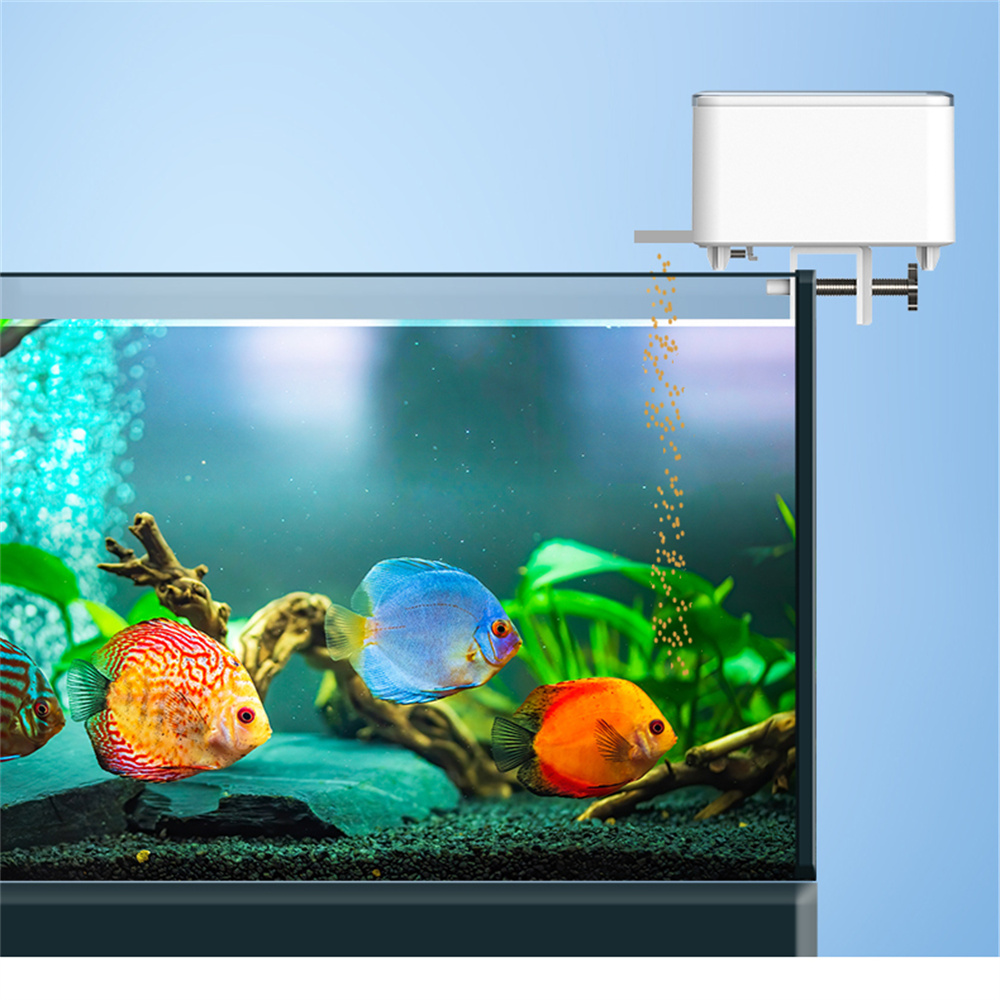 Mangeoire automatique intellig - Aquarium Fish Food avis et prix