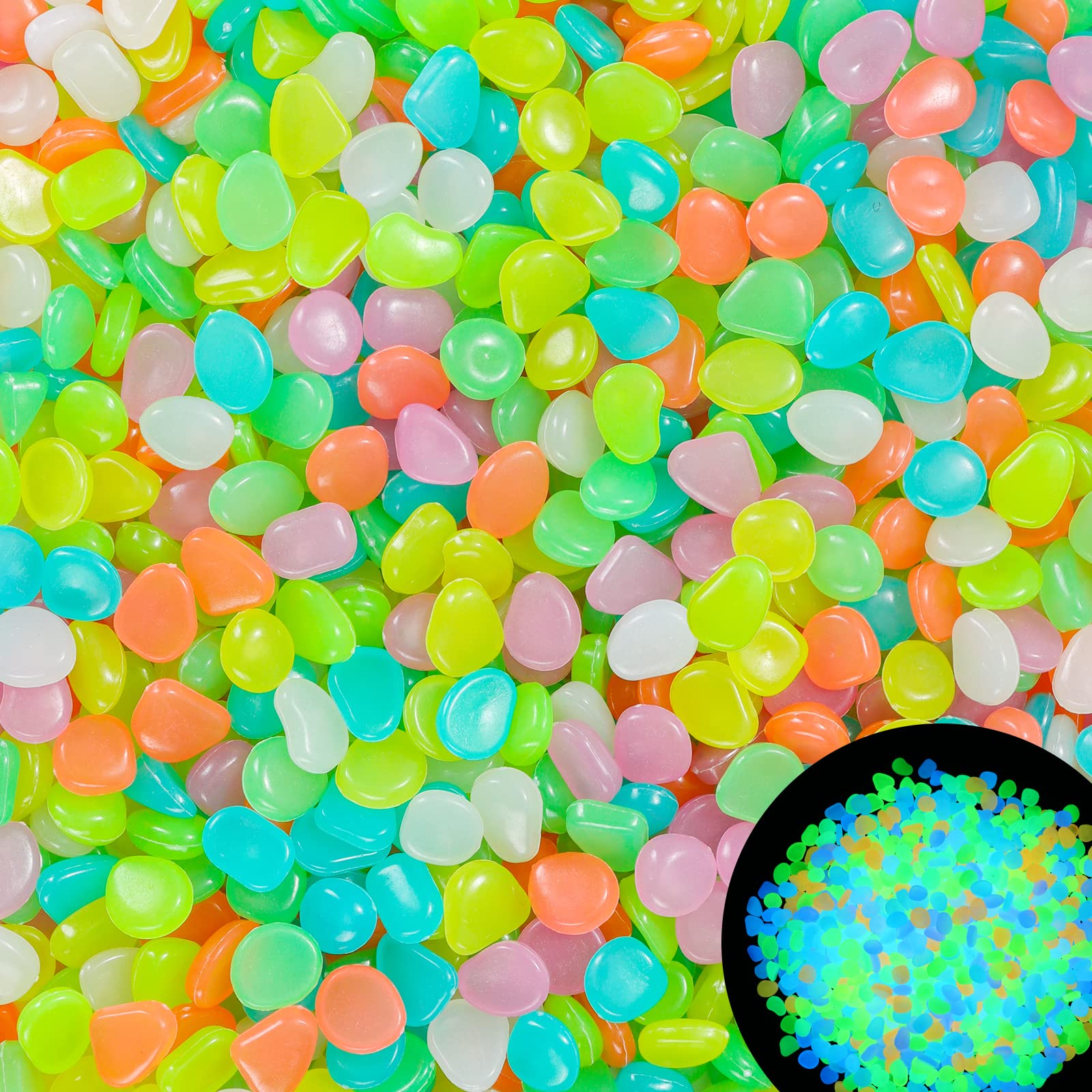 100 pièces brillent dans le no - Aquarium Fish Guppy avis et prix