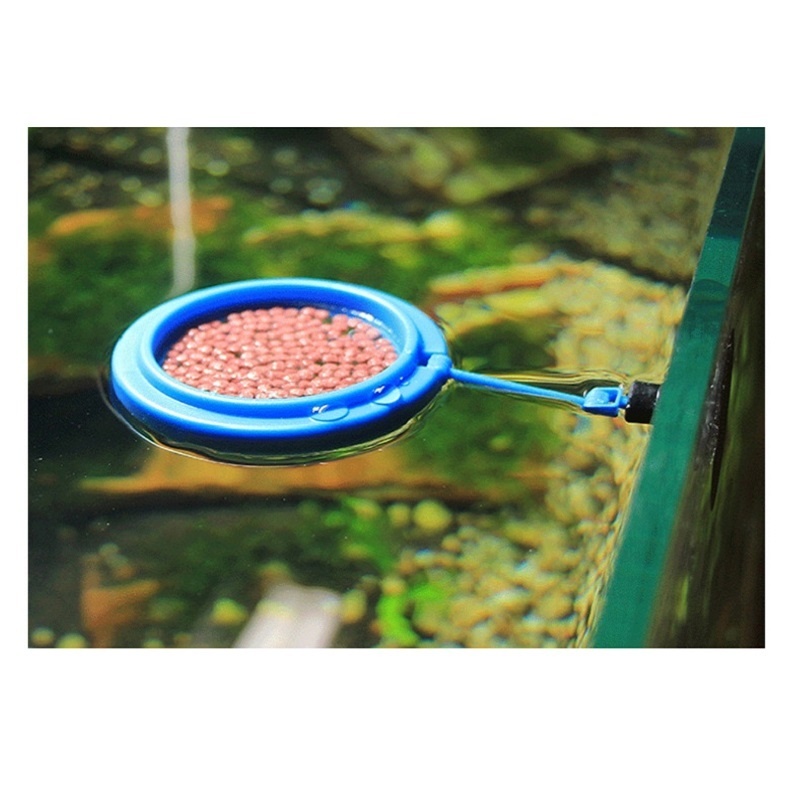 Anneau d'alimentation pour poi - Tetra Fish In Aquarium avis et prix