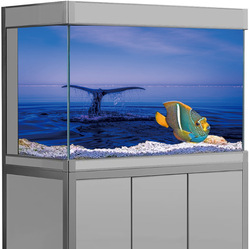 Autocollant de fond d'aquarium - Aquarium Fish Dolphin avis et prix