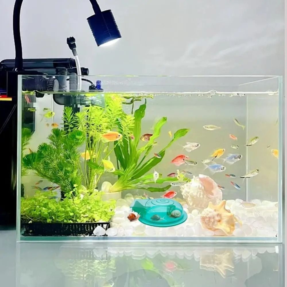 Piège à escargots pour aquariu - Aquarium Fish Eggs avis et prix