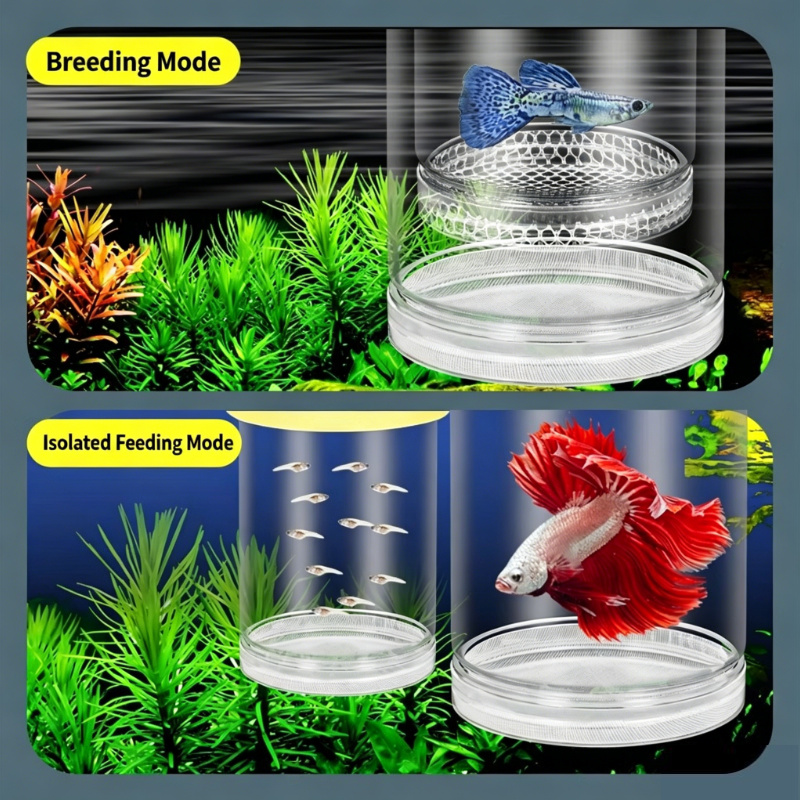 Boîte d'incubation flottante t - Fish Toy In Aquarium avis et prix