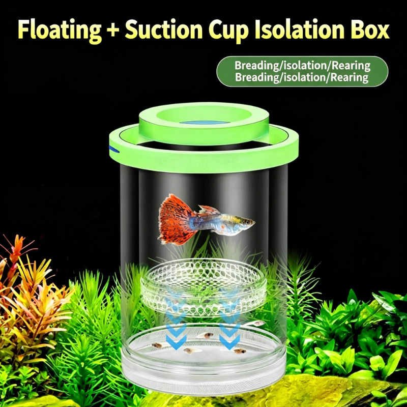 Boîte d'incubation flottante t - Fish Toy In Aquarium avis et prix