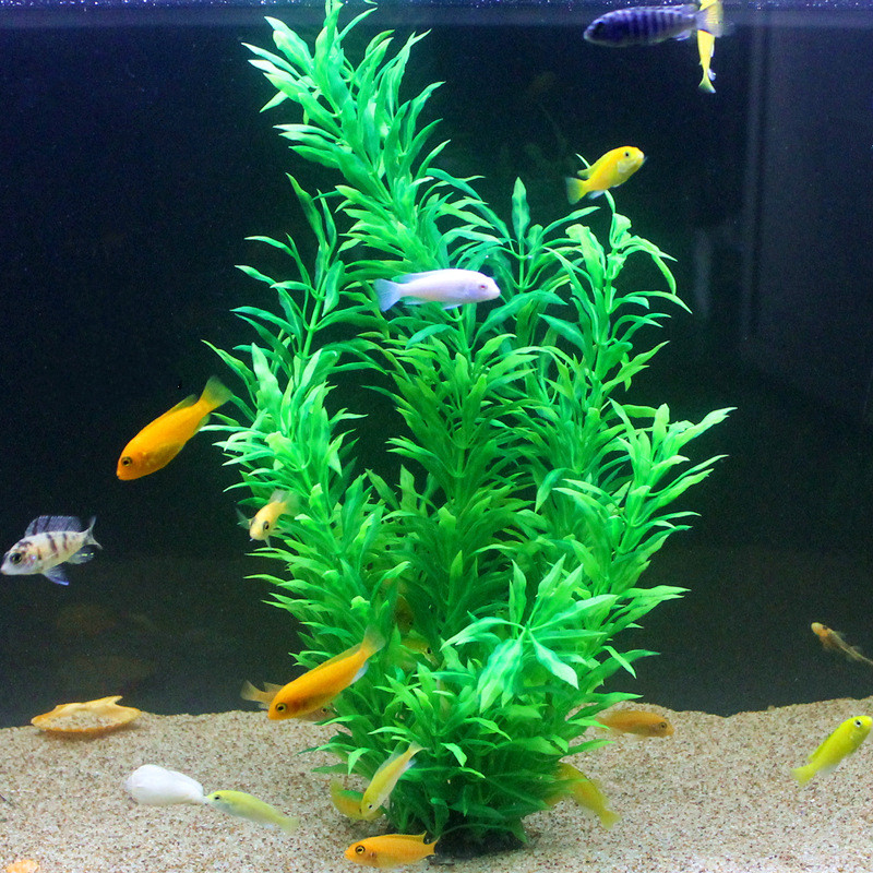 Plantes artificielles pour aqu - Aquarium Fish Guppy avis et prix