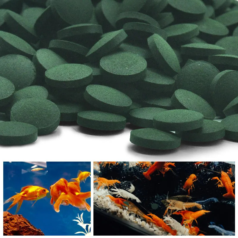 100-1500 comprimés de spirulin - Aquarium Fish Food avis et prix
