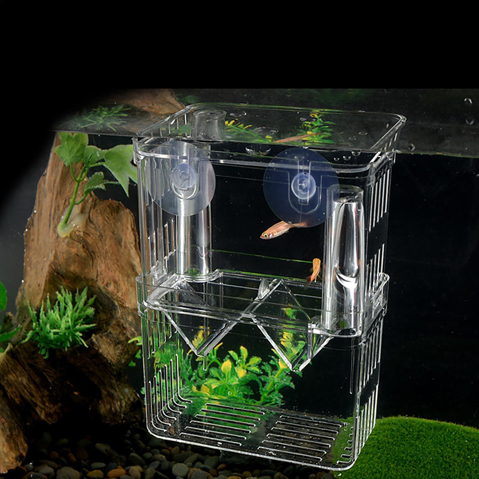Boîte d'élevage transparente p - Fish Toy In Aquarium avis et prix