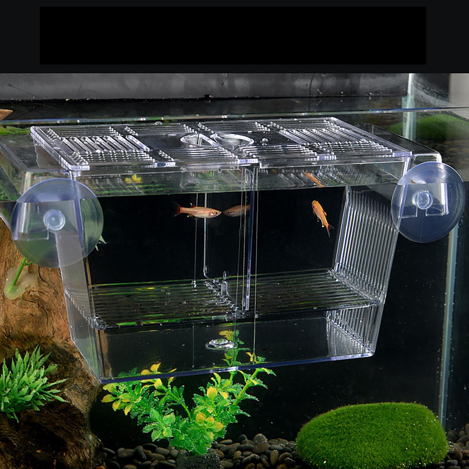 Boîte d'élevage transparente p - Fish Toy In Aquarium avis et prix