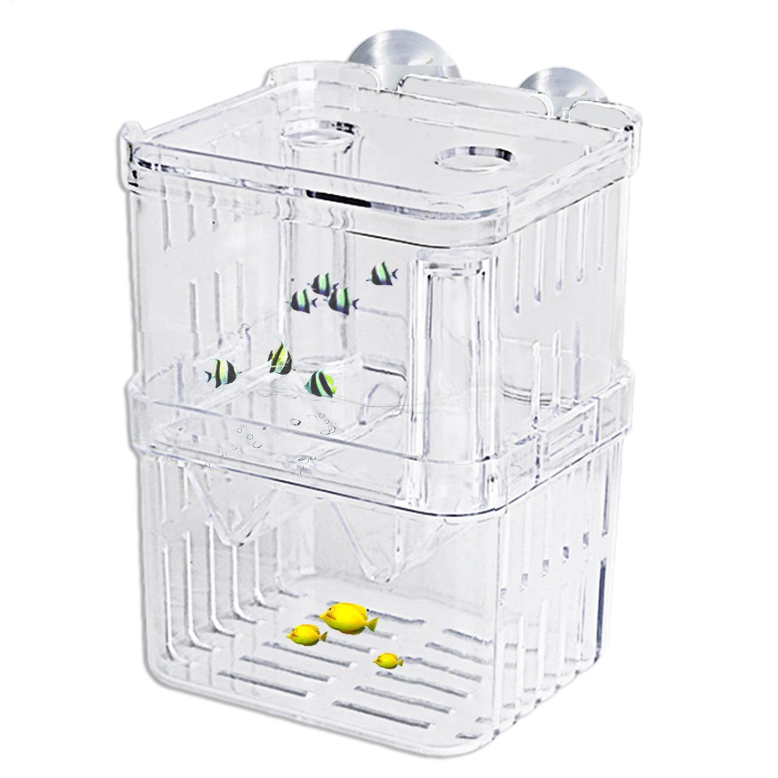 Boîte d'élevage transparente p - Fish Toy In Aquarium avis et prix