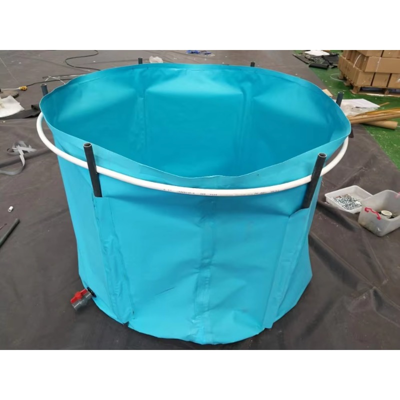 Vente en gros de bassins et aq - Aquarium Fish Big Size avis et prix