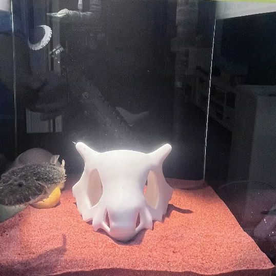 Pêche imprimée en 3D crevettes - Aquarium Fish Hiding Places avis et prix