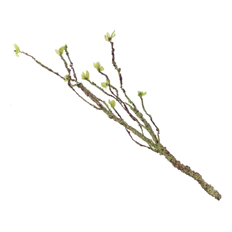 Vignes décor Branches d'escala - Aquarium Fish Guppy avis et prix