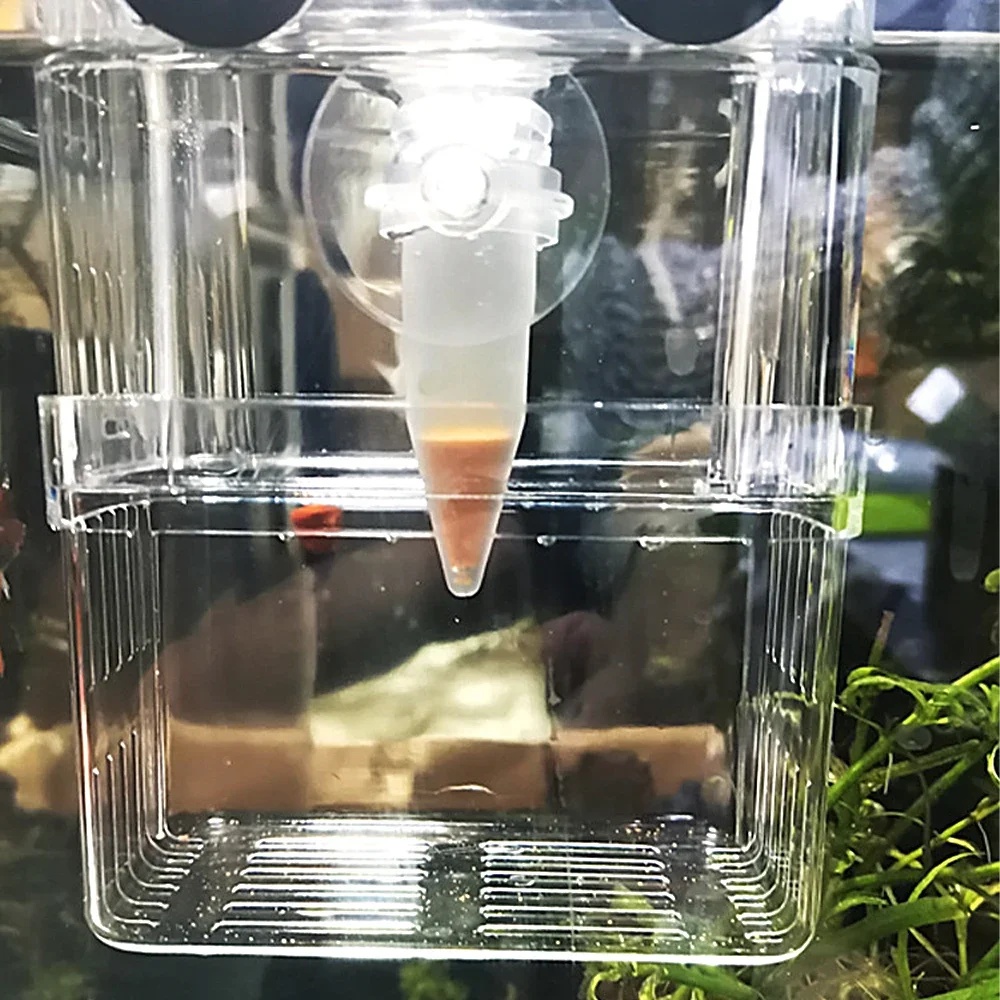 Mangeoire automatique pour poi - Aquarium Fish Eggs avis et prix