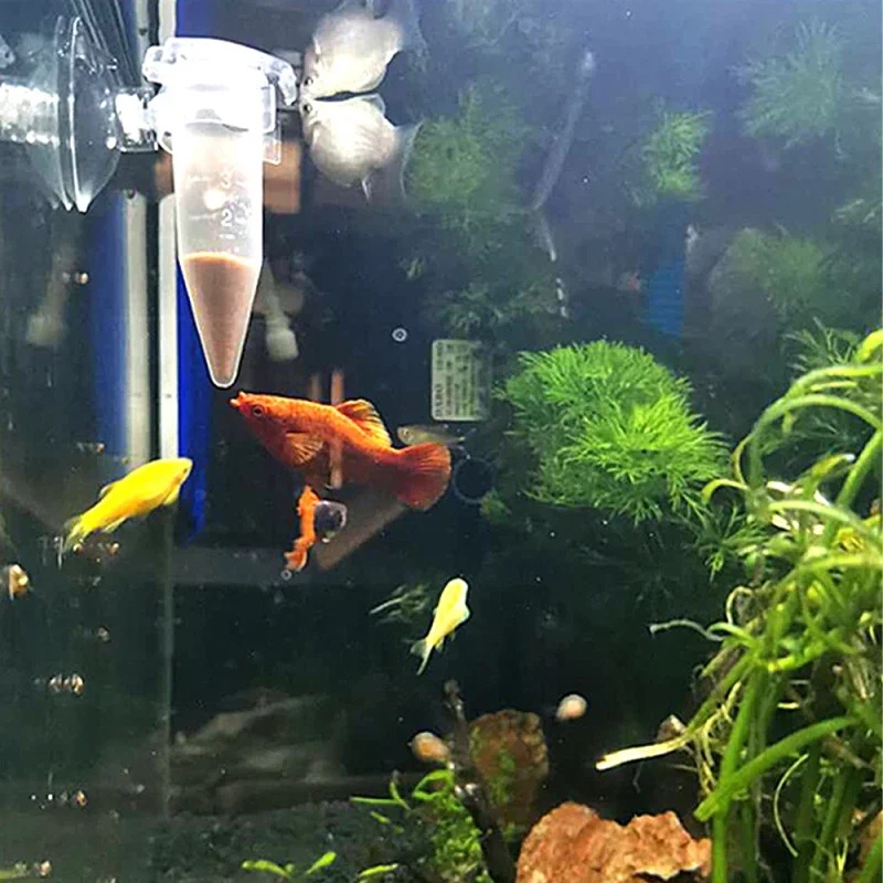 Mangeoire automatique pour poi - Aquarium Fish Eggs avis et prix