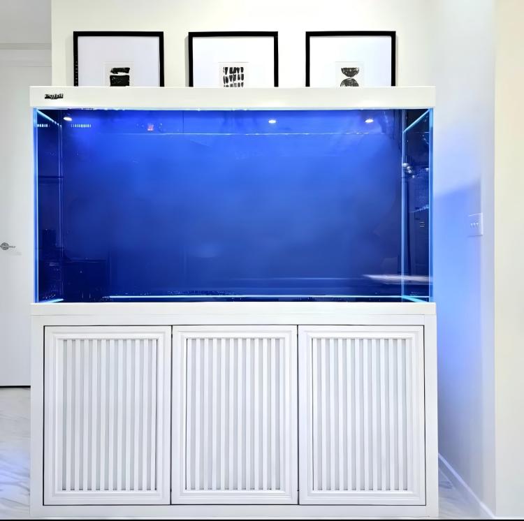 Grand aquarium commercial en v - Aquarium Fish Big Size avis et prix