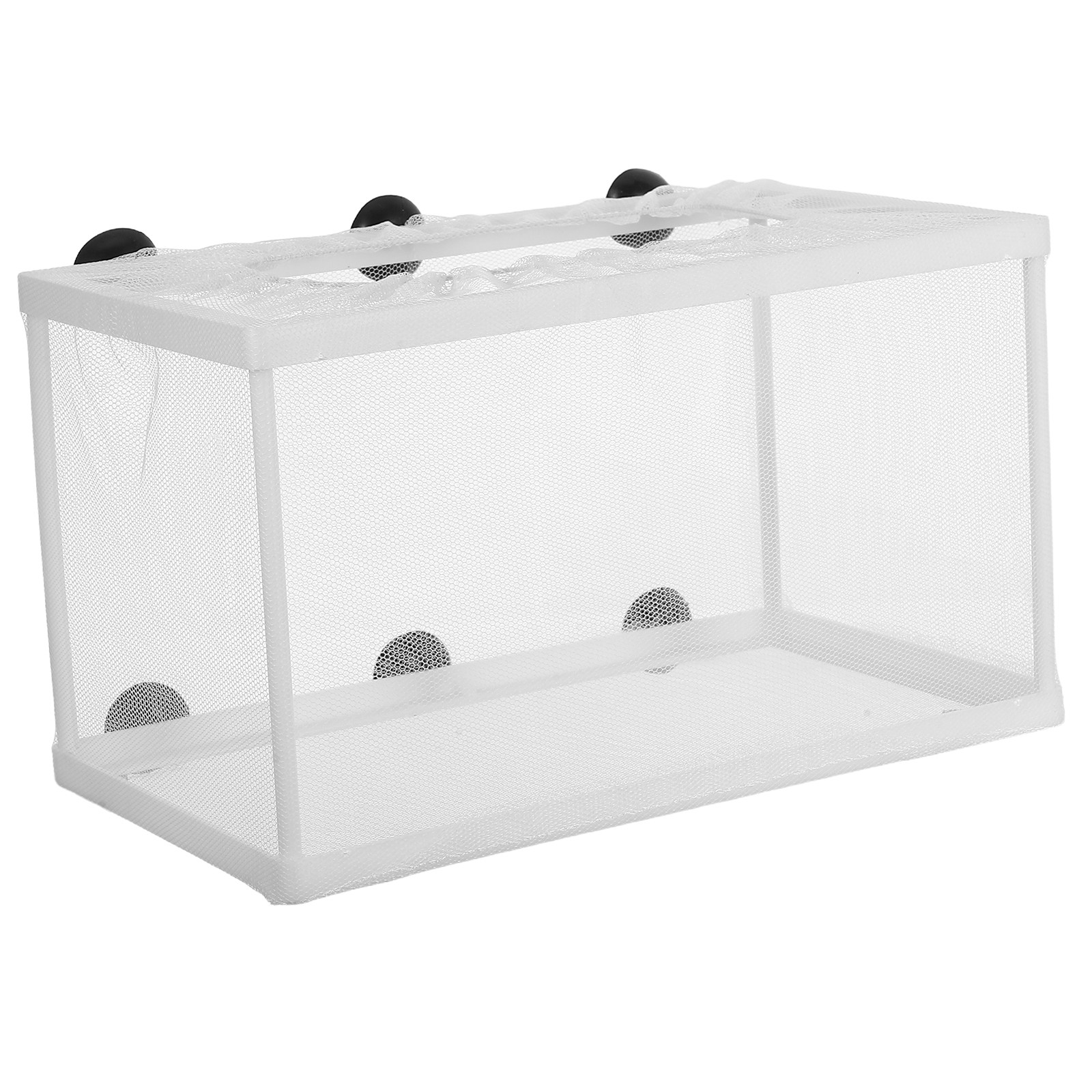 Grande boîte d'isolement pour  - Aquarium Fish Big Size avis et prix
